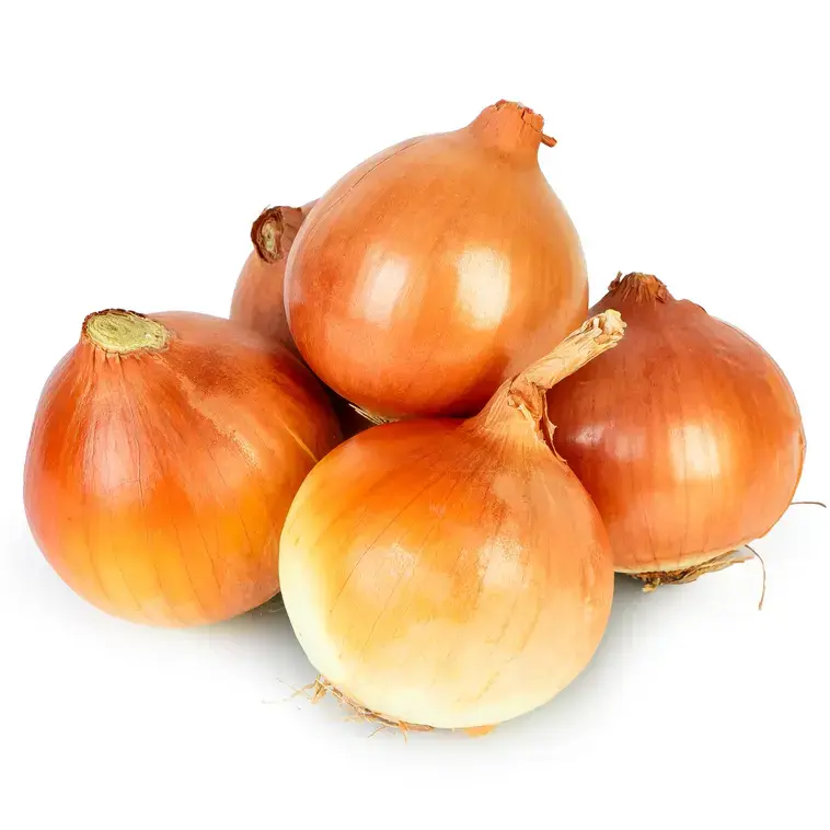 پیاز